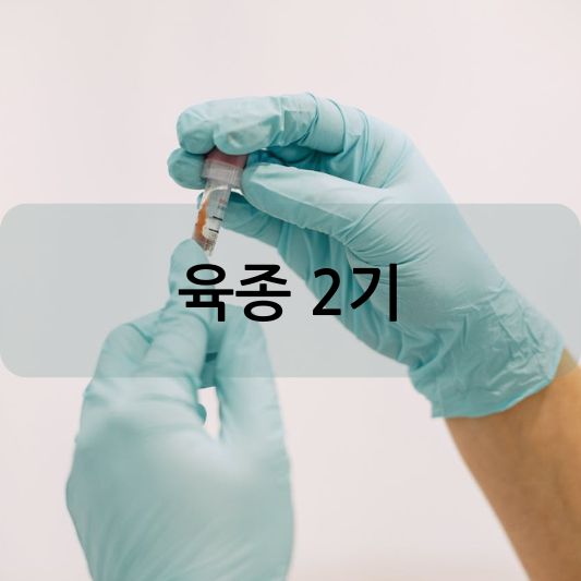 육종 2기: 원인, 증상, 생존율, 치료 방법 알아보기!