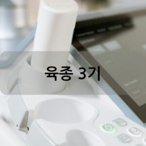 육종 3기