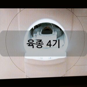 육종 4기