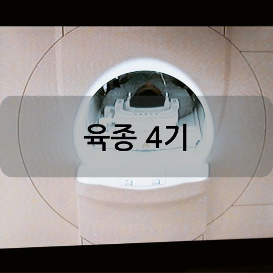 육종 4기: 원인, 증상, 생존율, 치료 방법 알아보기!