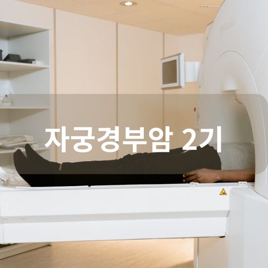 자궁경부암 2기: 원인, 증상, 치료 방법 알아보기!