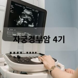 자궁경부암 4기