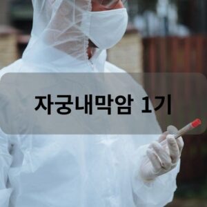 자궁내막암 1기