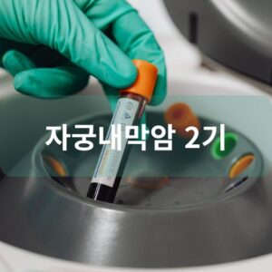 자궁내막암 2기