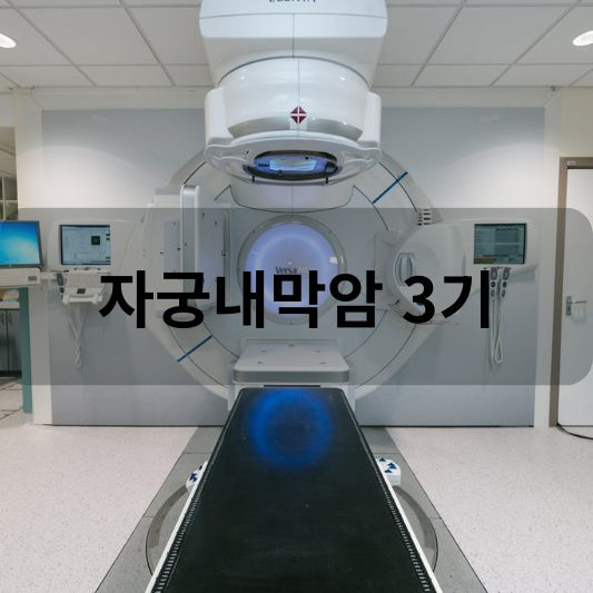 자궁내막암 3기:원인, 증상, 치료 방법 알아보기!