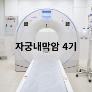 자궁내막암 4기