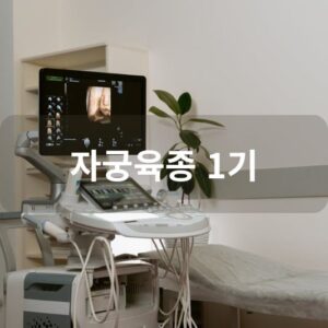 자궁육종 1기: 원인, 증상, 치료 방법 알아보기!