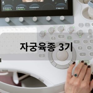 자궁육종 3기
