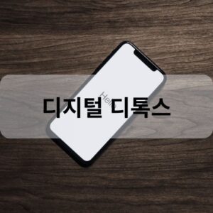 디지털 디톡스