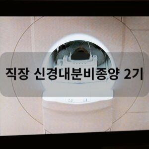 직장 신경내분비종양 2기