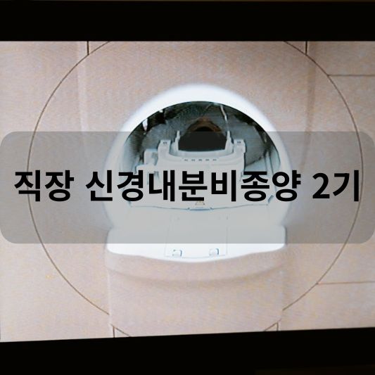 직장 신경내분비종양 2기: 원인, 증상, 치료 방법 알아보기!