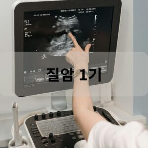 질암 1기
