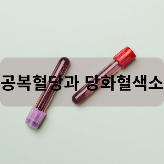 공복혈당과 당화혈색소 차이점 알아보기!