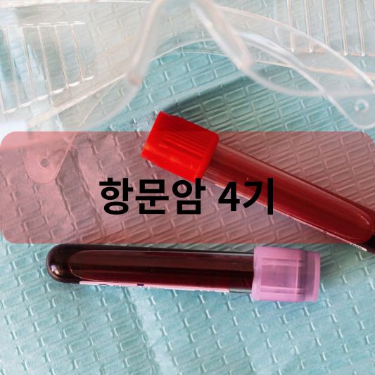 항문암 4기: 원인, 증상, 치료 방법 알아보기!