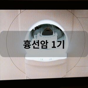 흉선암 1기