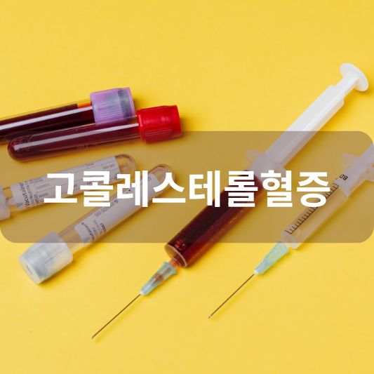 고콜레스테롤혈증: 원인, 증상, 치료 방법 알아보기!