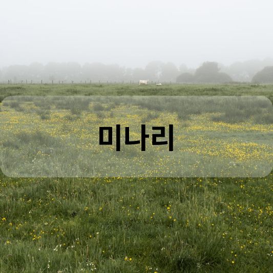 미나리: 무침 레시피, 파종시기, 효능 알아보기!