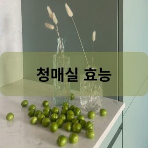 청매실 효능
