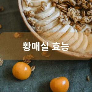 황매실 효능