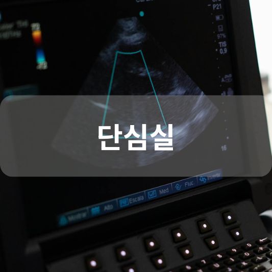 단심실: 원인, 증상, 치료 방법 알아보기!