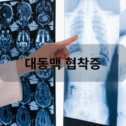 대동맥 협착증: 원인, 증상, 치료 방법 알아보기!