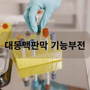 대동맥판막 기능부전