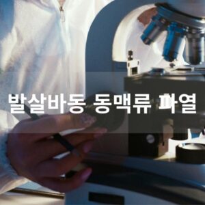 발살바동 동맥류 파열