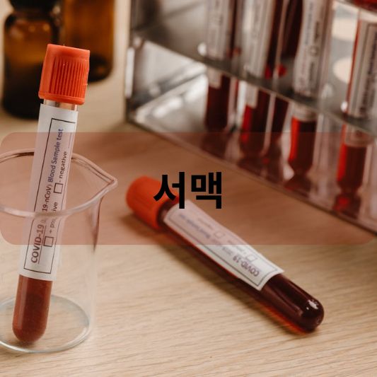 서맥: 원인, 증상, 치료 방법 알아보기!