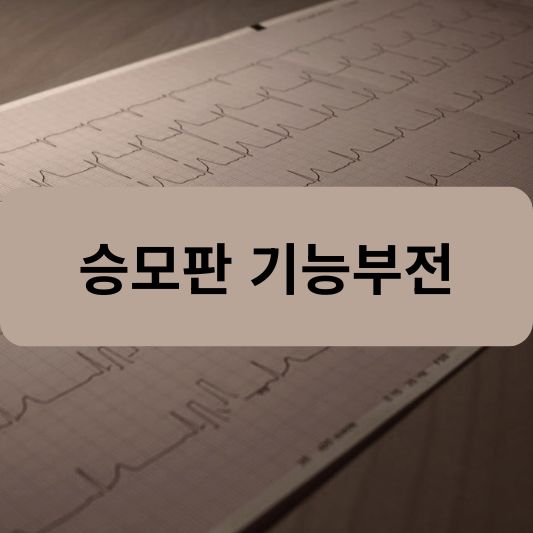 승모판 기능부전: 원인, 증상, 치료 방법 알아보기!