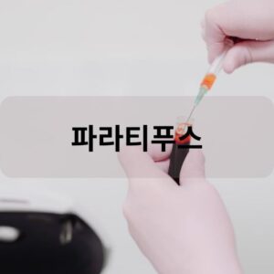 파라티푸스