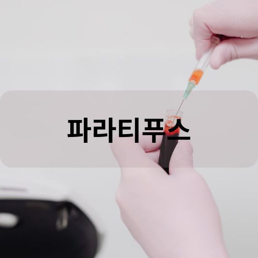파라티푸스: 원인, 증상, 치료 방법 알아보기!