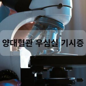 양대혈관 우심실 기시증