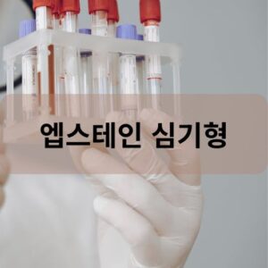 엡스테인 심기형