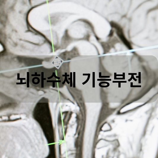 뇌하수체 기능부전: 원인, 증상, 치료 방법 알아보기!
