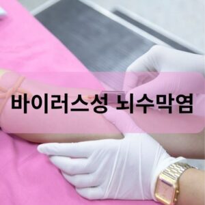 바이러스성 뇌수막염