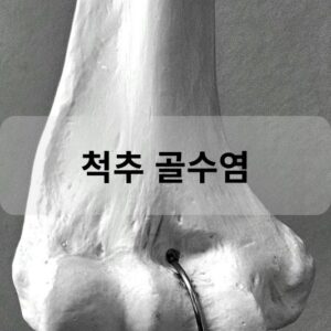 척추 골수염