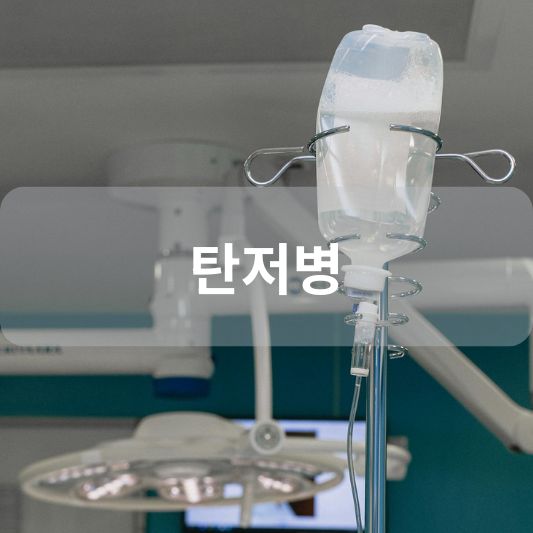 탄저병: 원인, 증상, 치료 방법 알아보기!