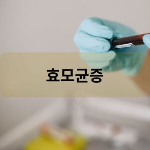 효모균증