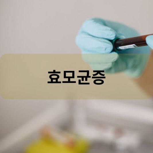효모균증: 원인, 증상, 치료 방법 알아보기!