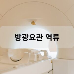 방광요관 역류