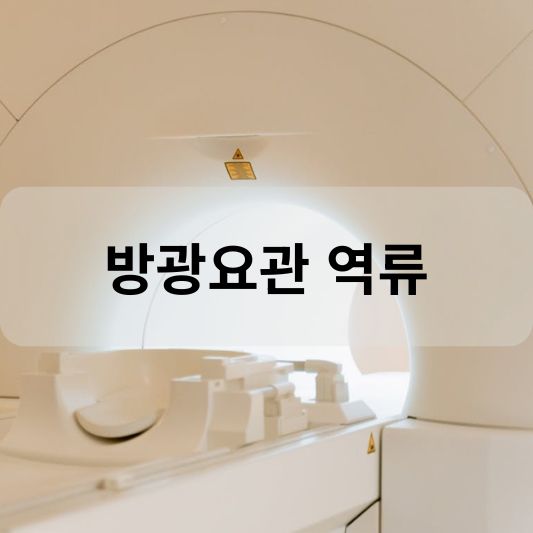 방광요관 역류: 원인, 증상, 치료 방법 알아보기!