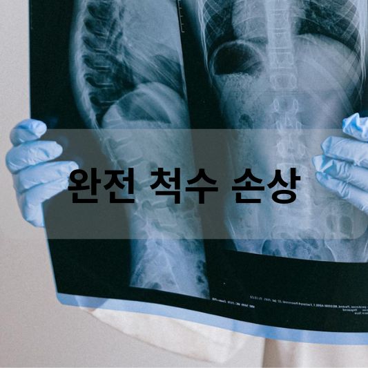 완전 척수 손상: 원인, 증상, 치료 방법 알아보기!