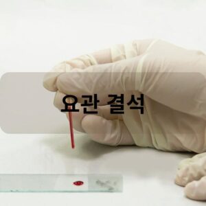 요관 결석