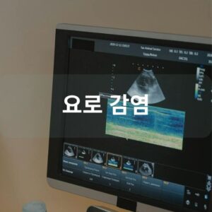 요로 감염