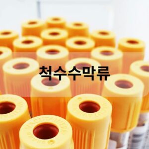 척수수막류