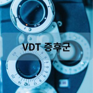 VDT 증후군
