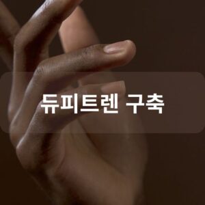 듀피트렌 구축
