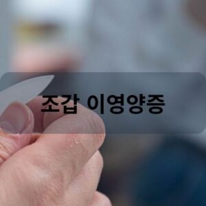 조갑 이영양증