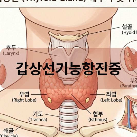 갑상선기능항진증: 원인 증상 치료 방법 알아보기!