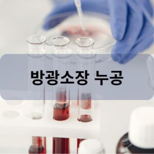 방광소장 누공